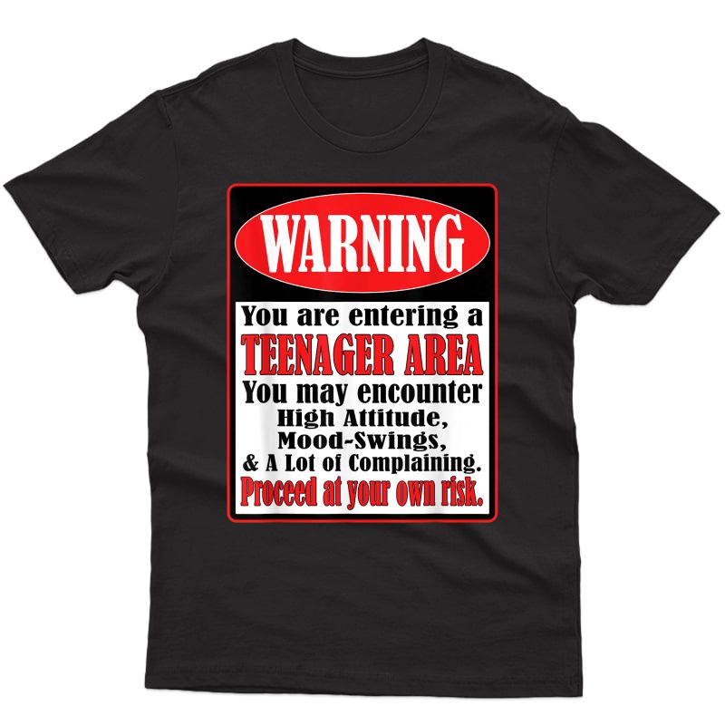 13 Years Old Birthday Gift Warning Teenager T-shirt